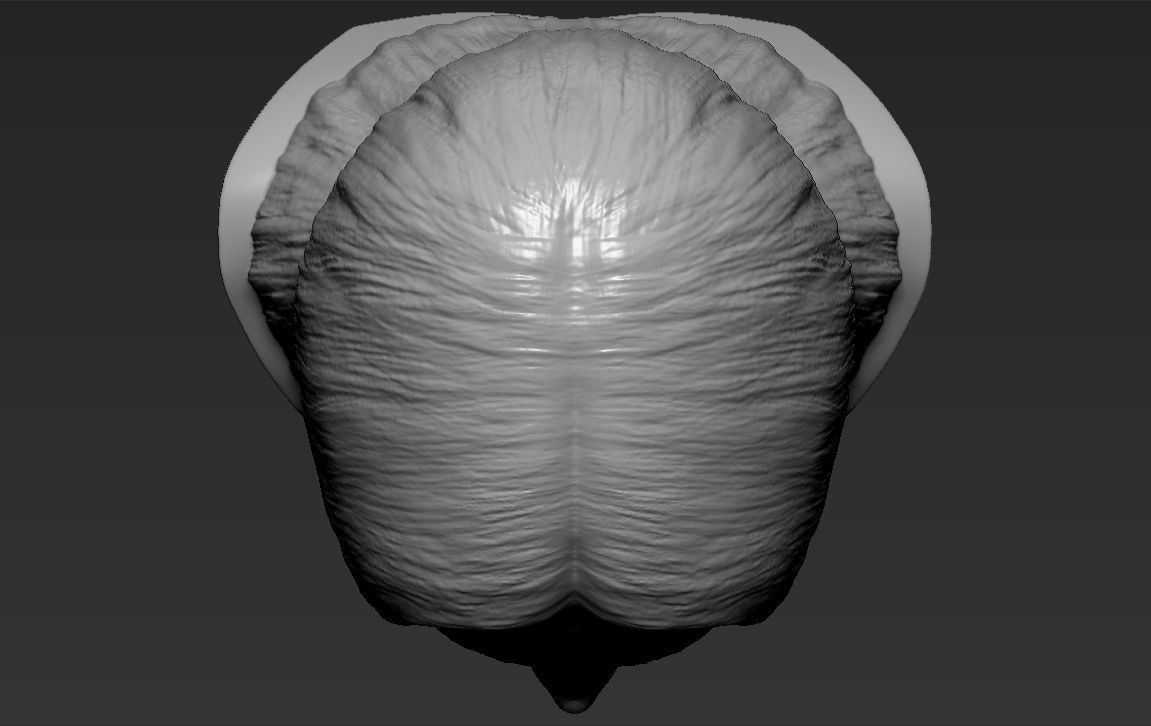 Bella Hadid bust 3D printing ready stl obj formats 3D print model_15