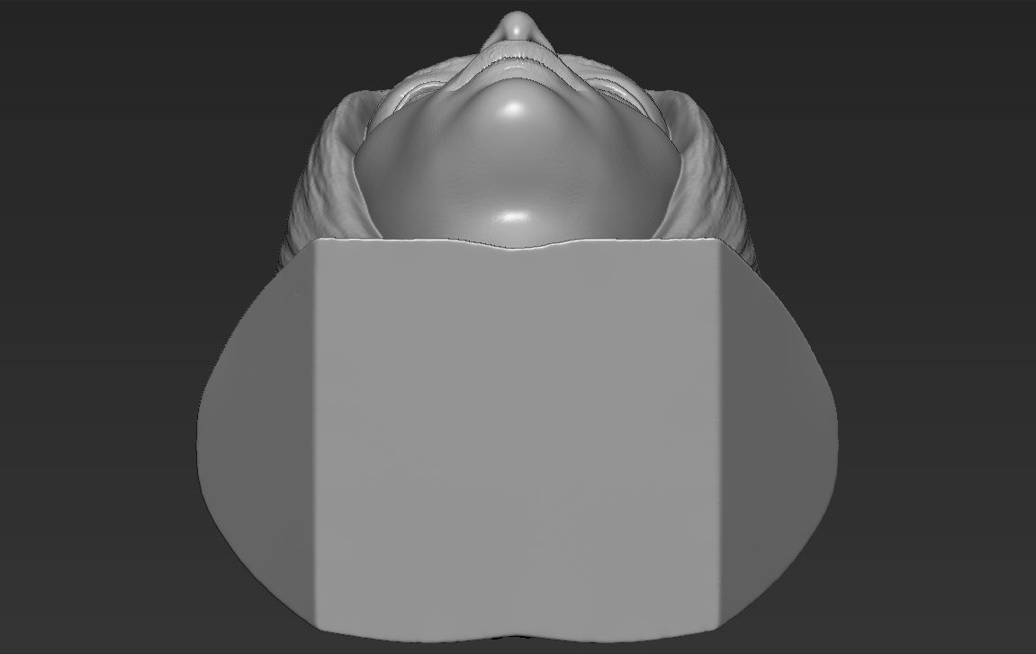 Bella Hadid bust 3D printing ready stl obj formats 3D print model_23