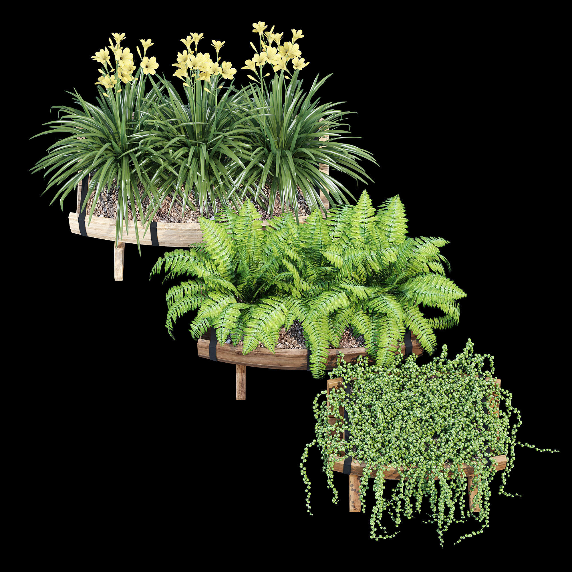 Yarmouth ferns and plants in wooden planter 3D model_10
