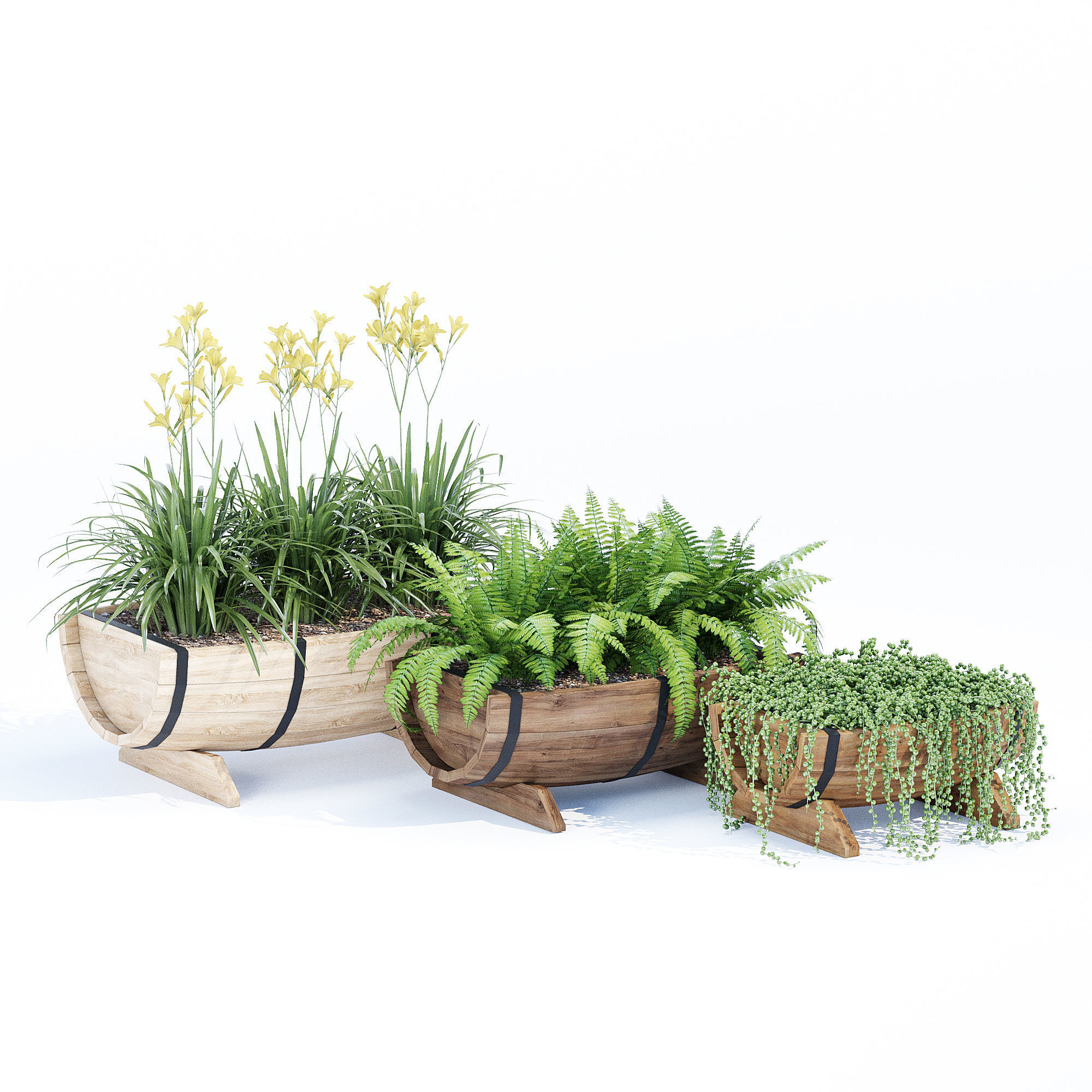 Yarmouth ferns and plants in wooden planter 3D model_1