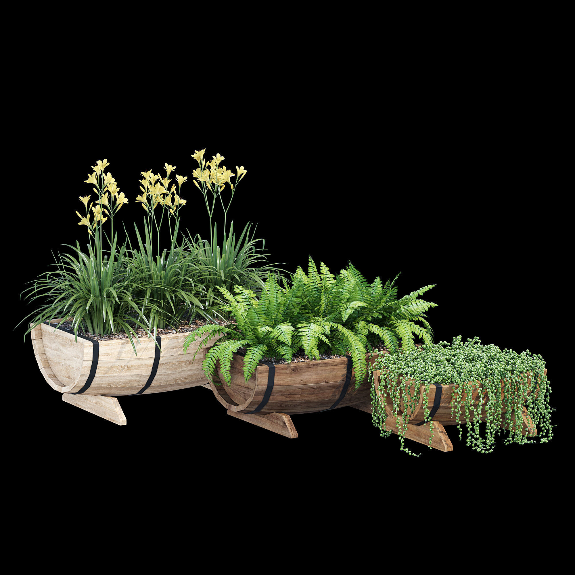 Yarmouth ferns and plants in wooden planter 3D model_7
