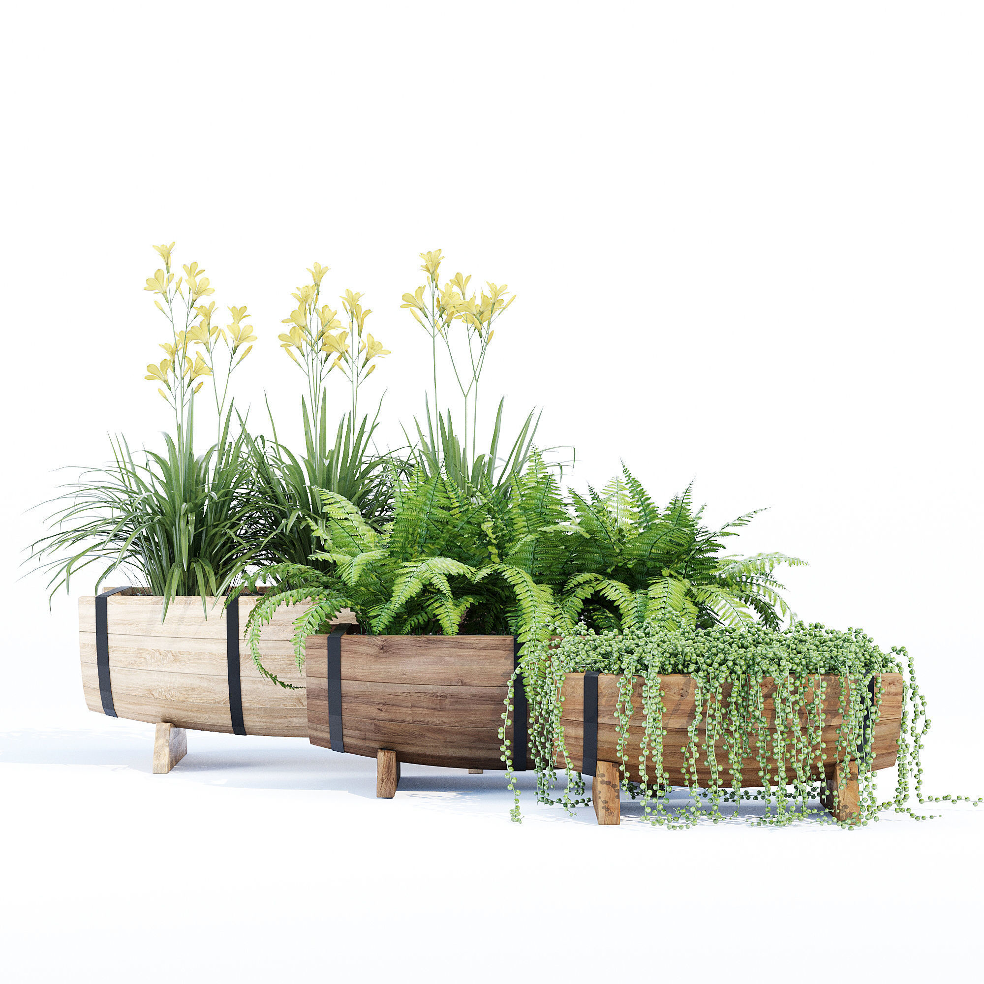 Yarmouth ferns and plants in wooden planter 3D model_2