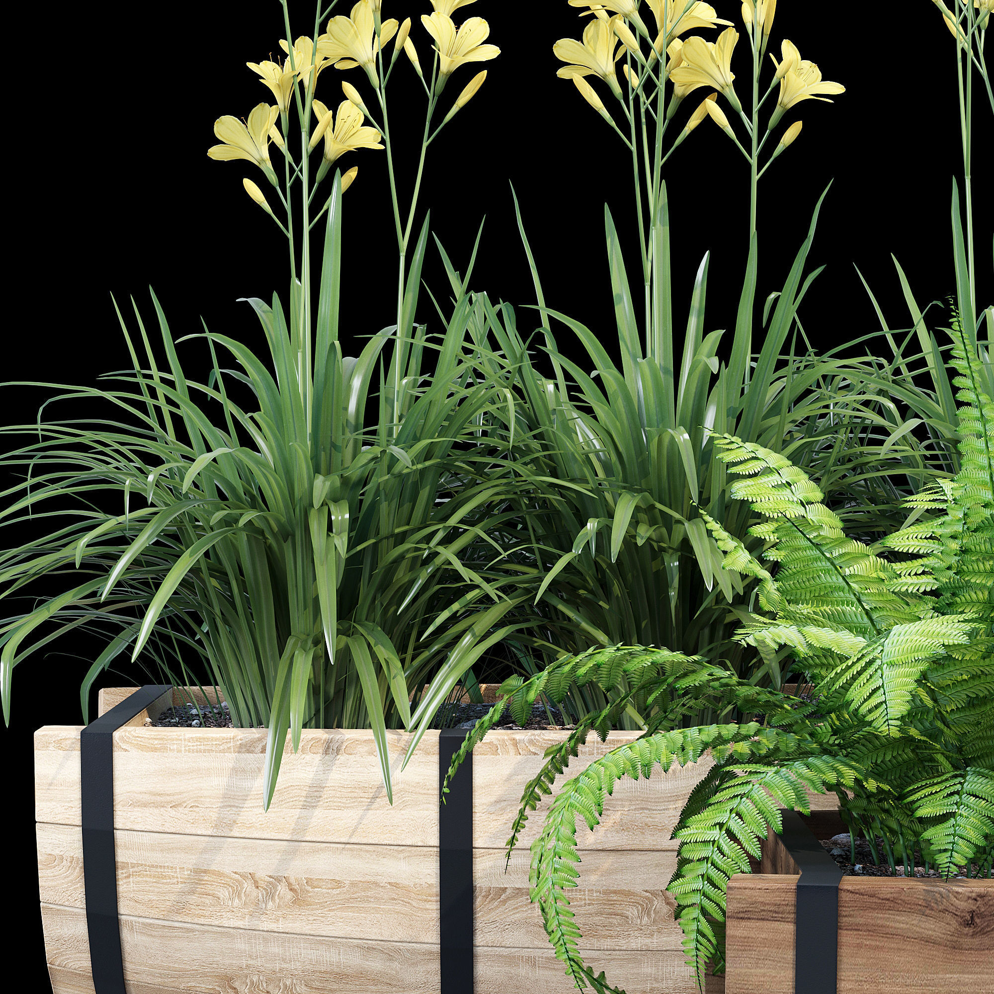 Yarmouth ferns and plants in wooden planter 3D model_11