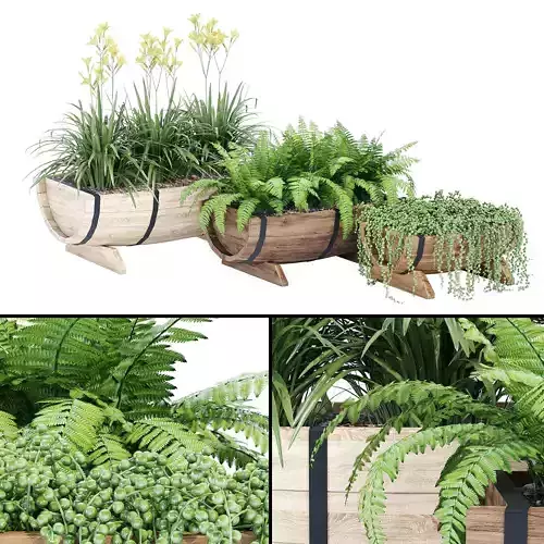 Yarmouth ferns and plants in wooden planter