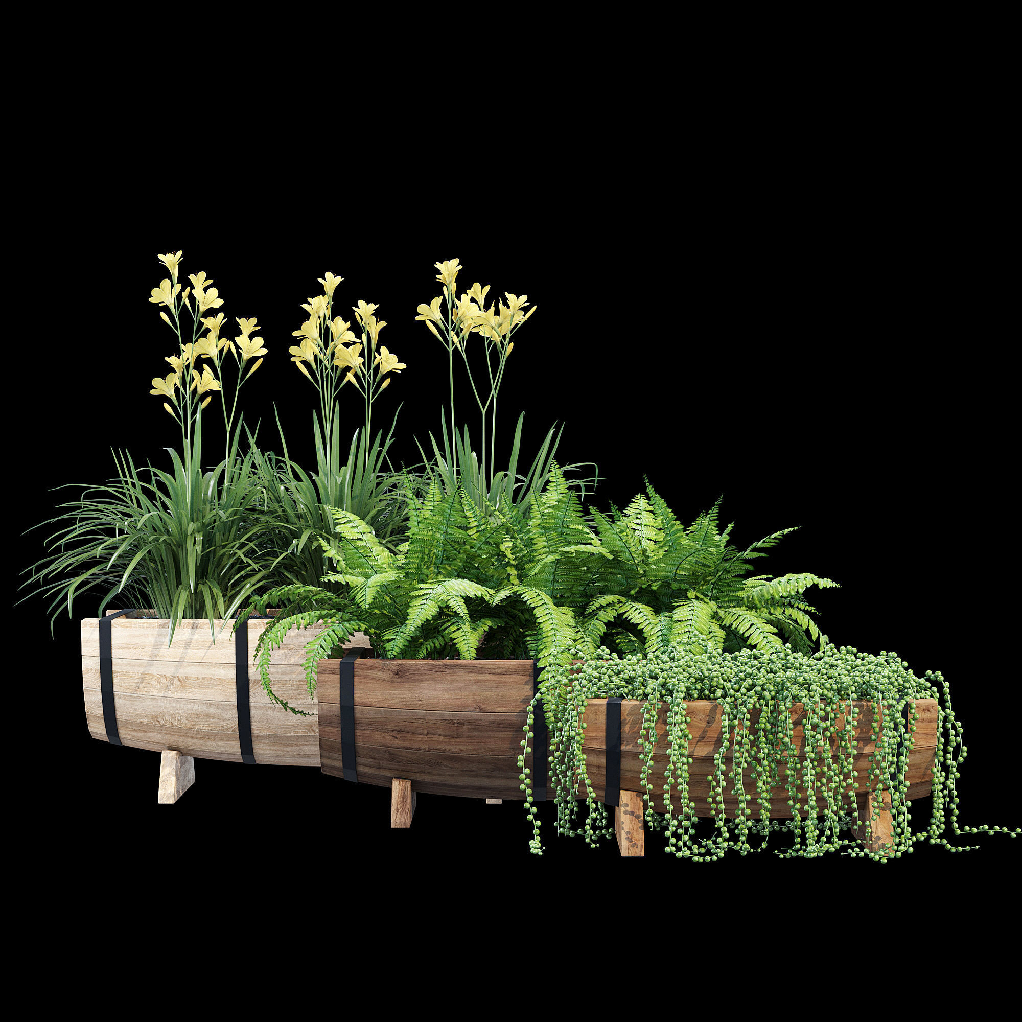 Yarmouth ferns and plants in wooden planter 3D model_8