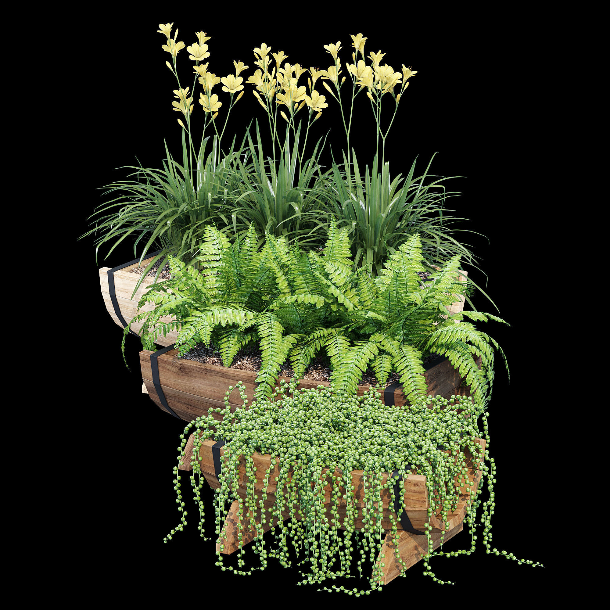 Yarmouth ferns and plants in wooden planter 3D model_9