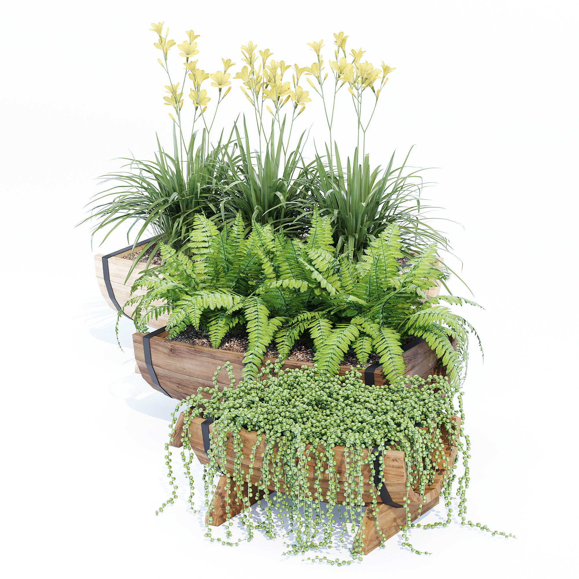 Yarmouth ferns and plants in wooden planter 3D model_3