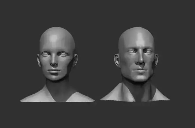 Male and Female Head Realistic Base Mesh 3D Model 3D model