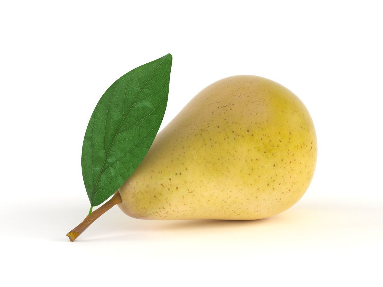 Pears pear with leaf 3D model_4