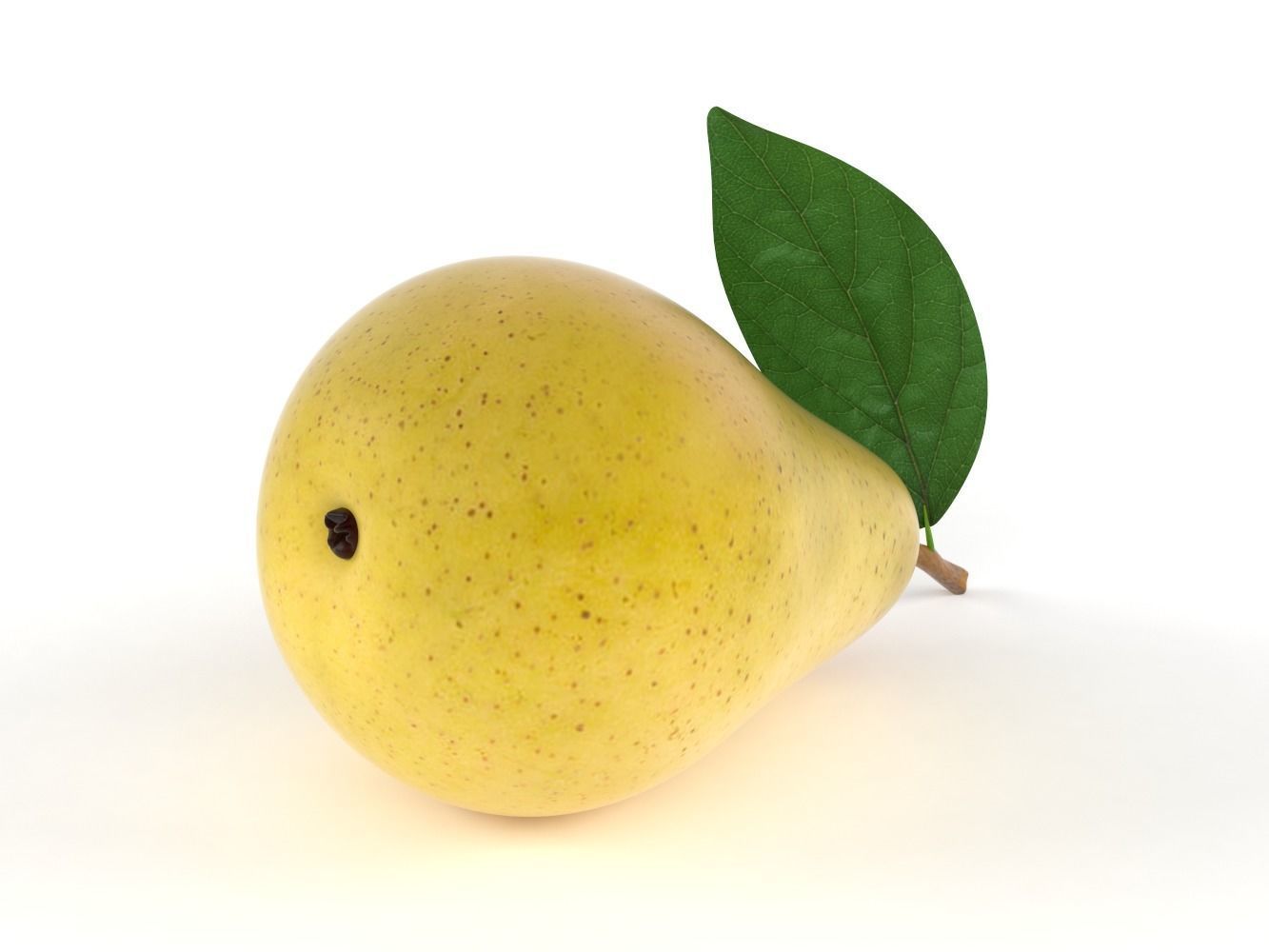 Pears pear with leaf 3D model_5