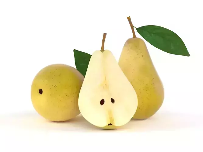 Pears pear with leaf 3D model