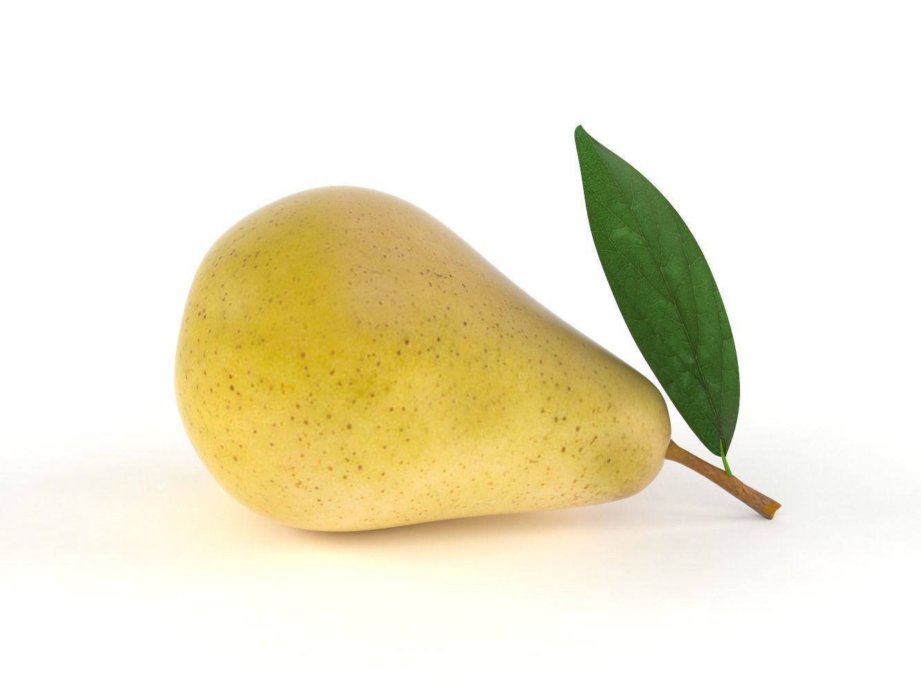 Pears pear with leaf 3D model_3