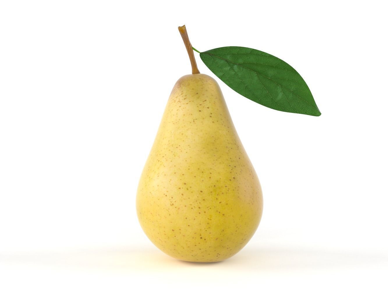 Pears pear with leaf 3D model_1