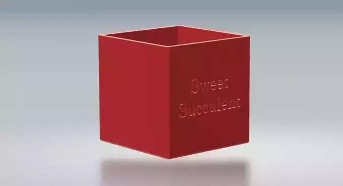 Square Succulent Vase