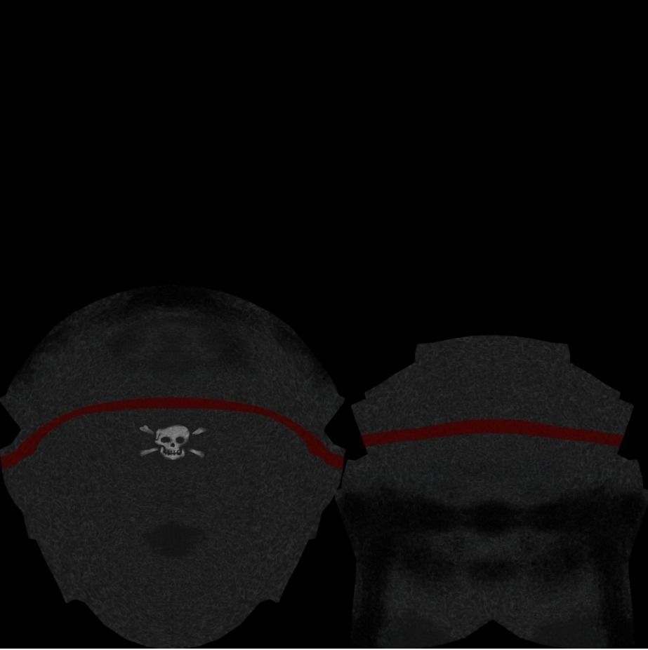 Pirate Hat - White Skull Low-poly 3D model_10