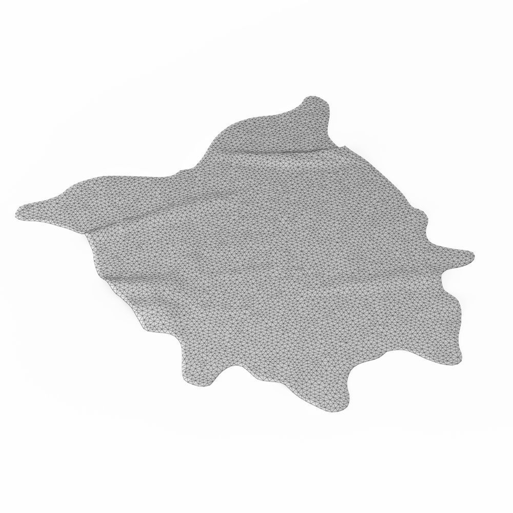 Champagne Color Natural Cowhide Rug 3D model_5