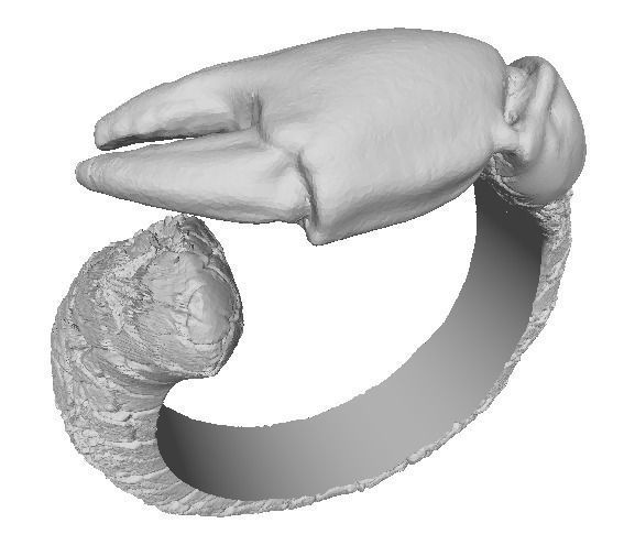 Crab tongs ring 3D print model_3