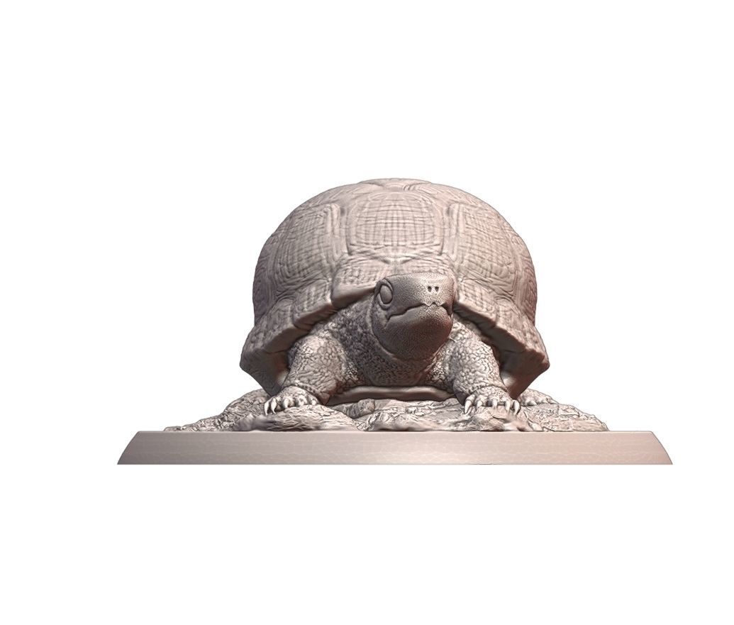 Turtle statue of tortoise 3D print model_3