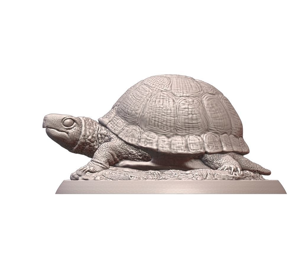 Turtle statue of tortoise 3D print model_2