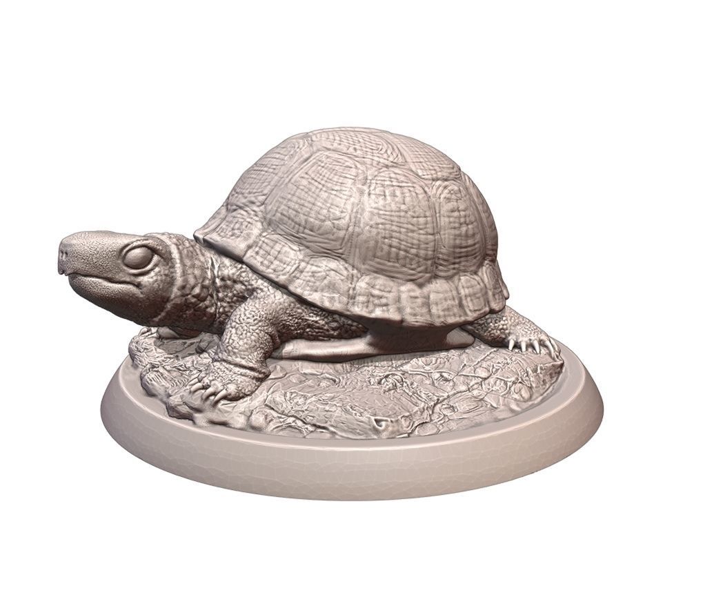 Turtle statue of tortoise 3D print model_5