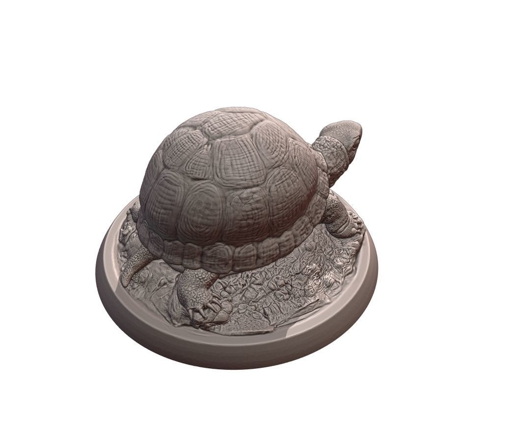 Turtle statue of tortoise 3D print model_8