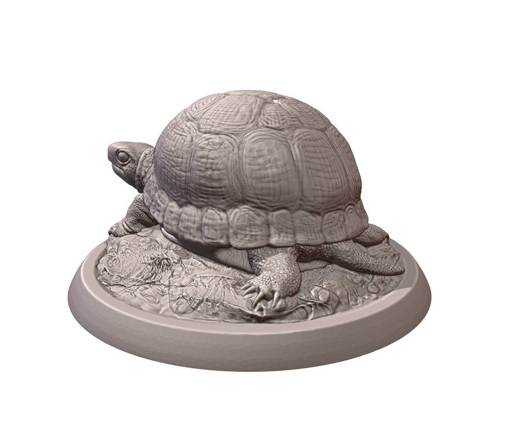 Turtle statue of tortoise 3D print model_7