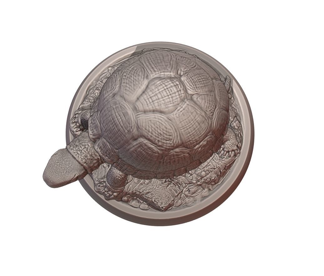 Turtle statue of tortoise 3D print model_6