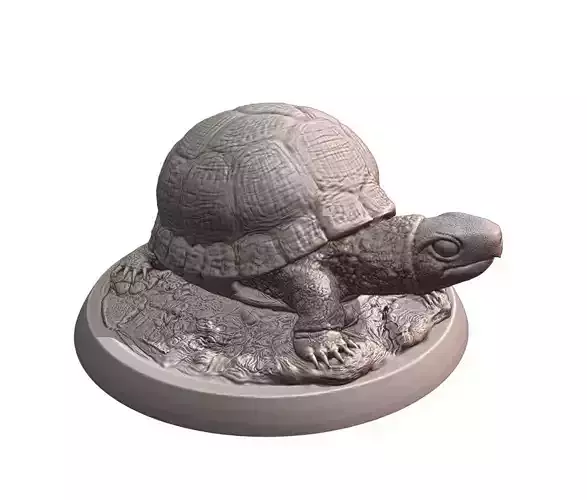 Turtle statue of tortoise
