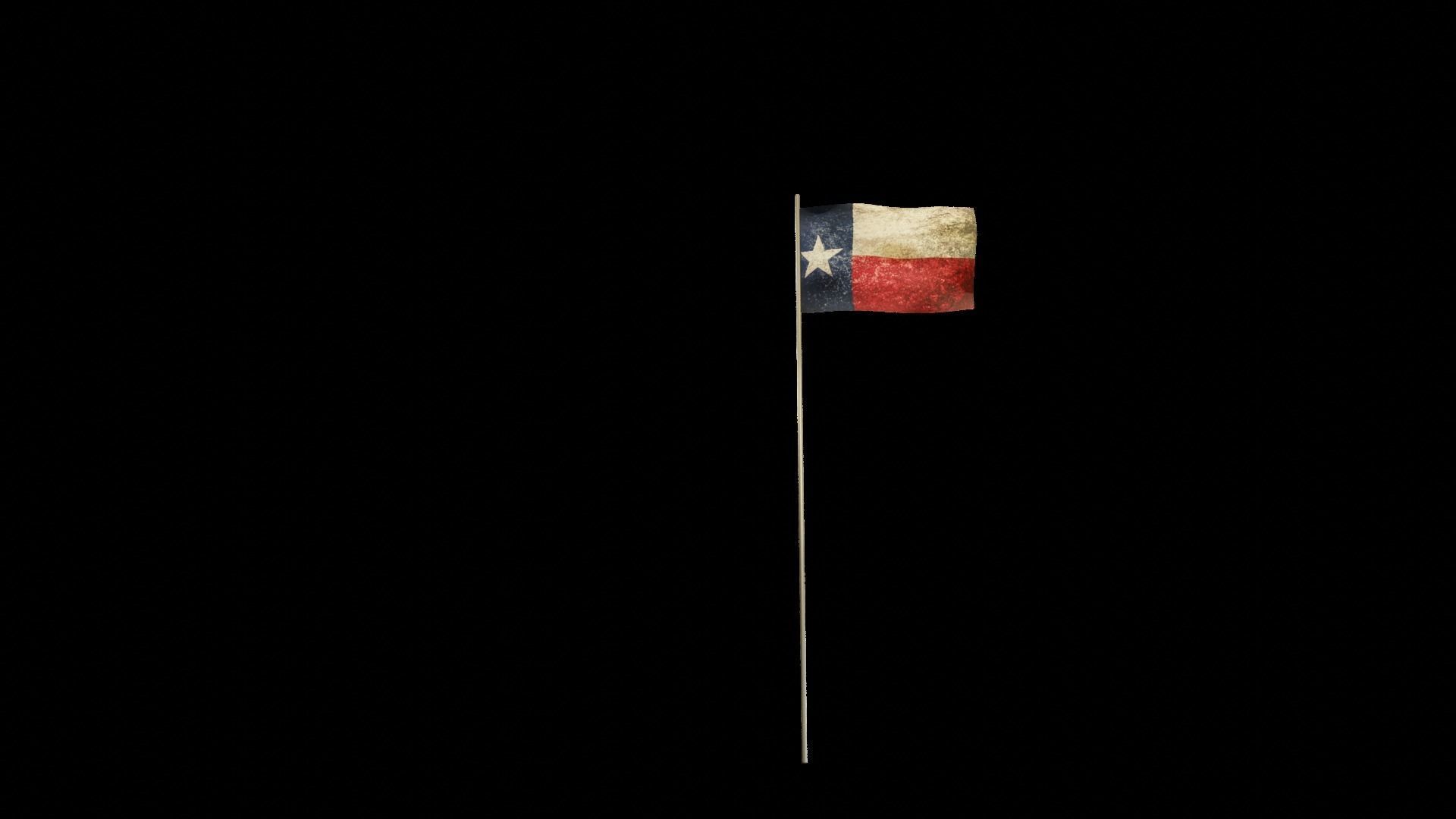 Texas Flag Low-poly 3D model_1