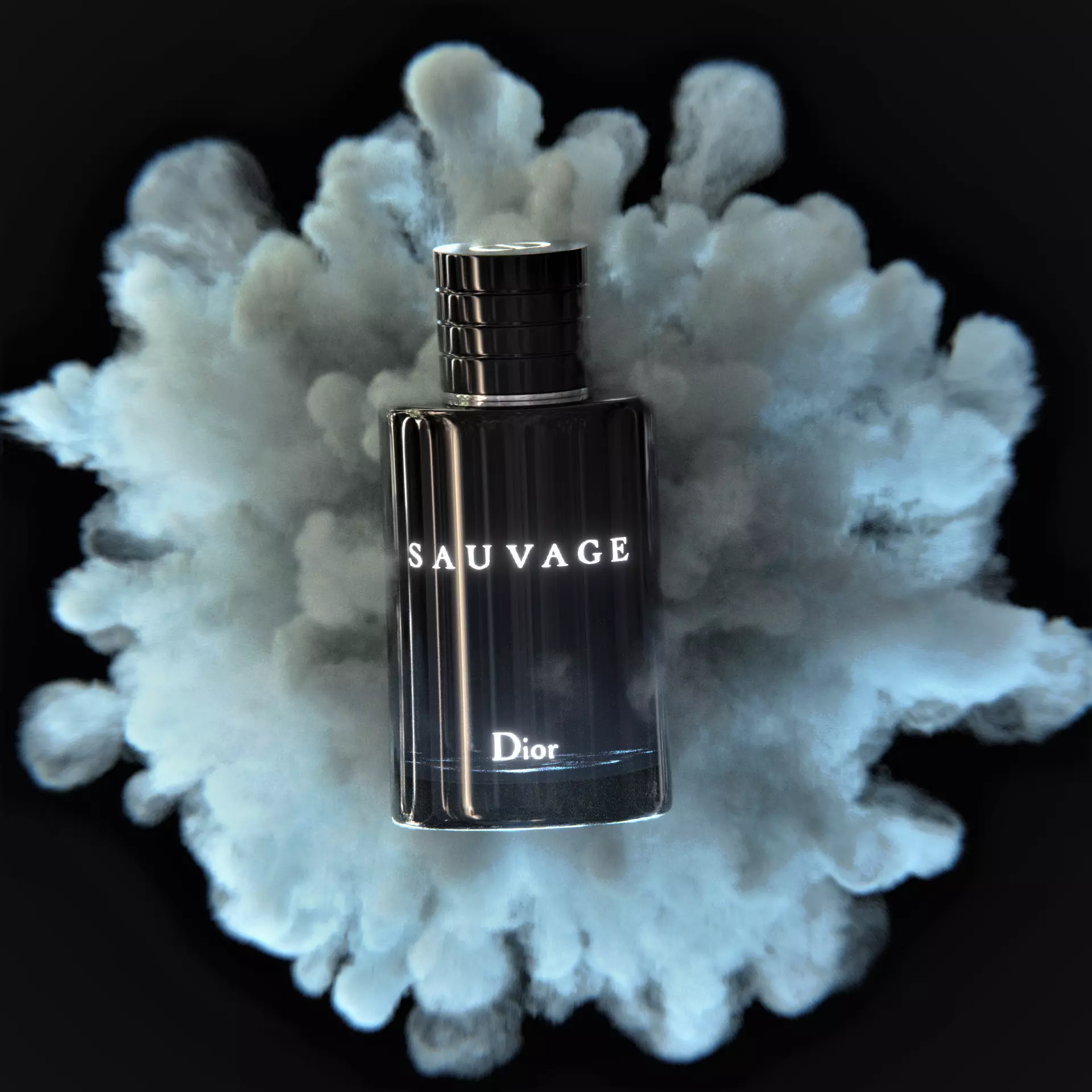 Dior Sauvage Bottle 3D model_0