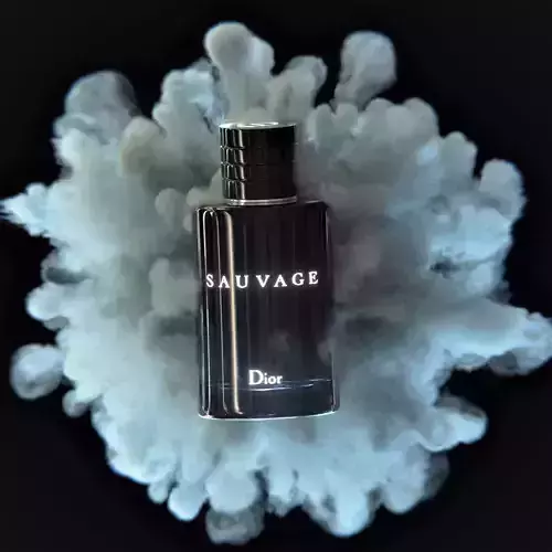 Dior Sauvage Bottle 3D model