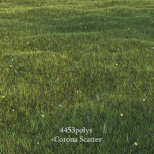Lawn Grass Low-poly 3D model