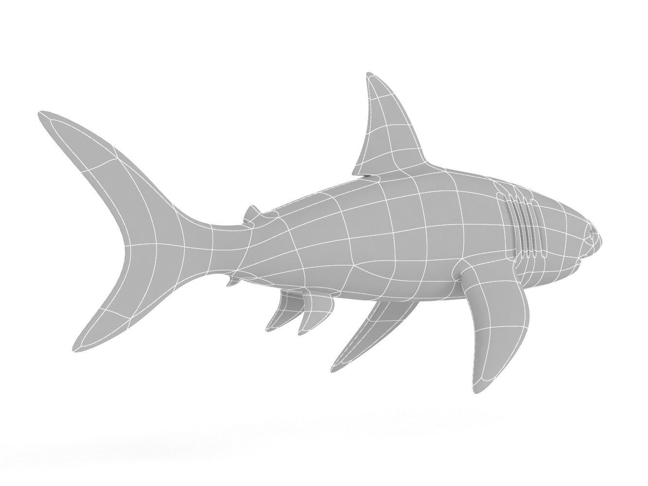 Great White Shark 3D model_10