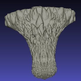 Solid wolf head ring 3D print model_2