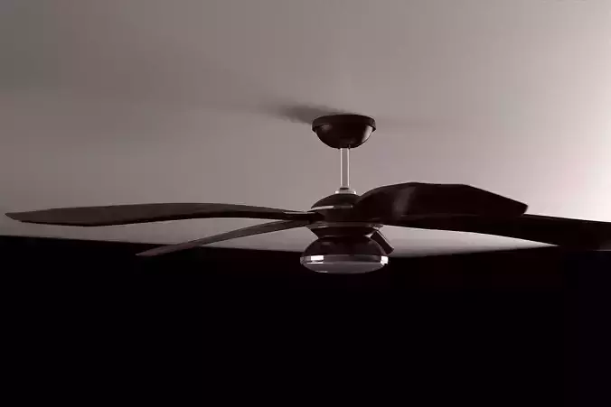 Ceiling Fan