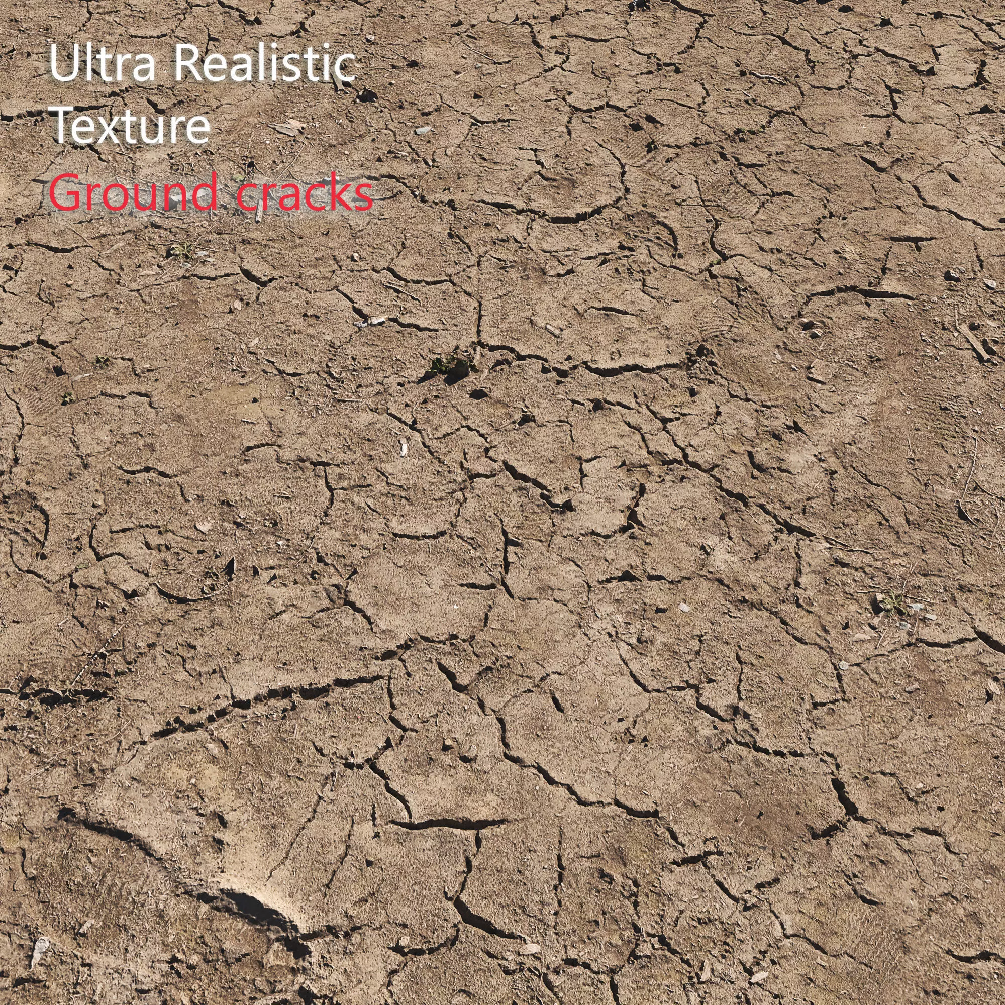 Ultra realistic Ground cracks 3D model_0