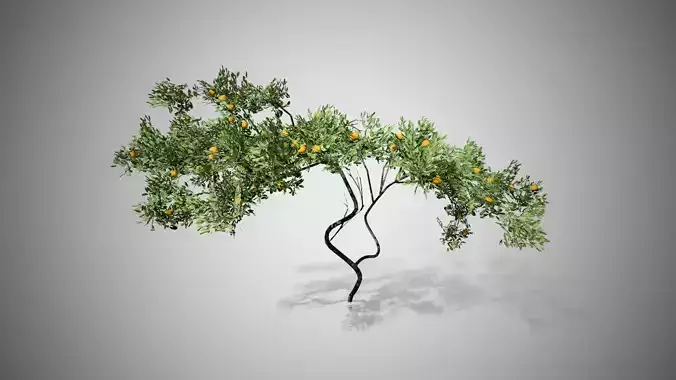 Lemon Fruit Tree LODs