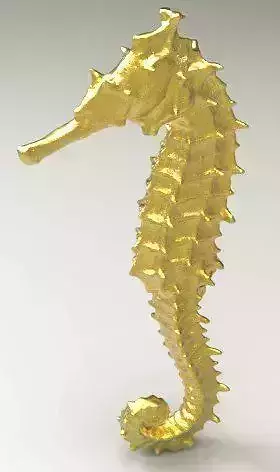 seahorse large