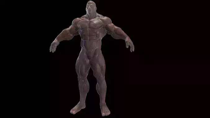 BodyBuilder  Game Ready Base Mesh Low-poly 3D model
