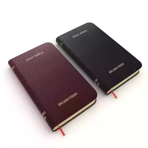 Holy Bible 3D model