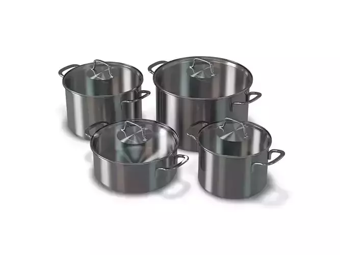 Stainless Cooking Pots with Glass Covers 3D model