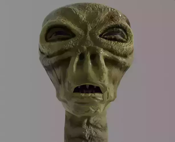 Alien Head
