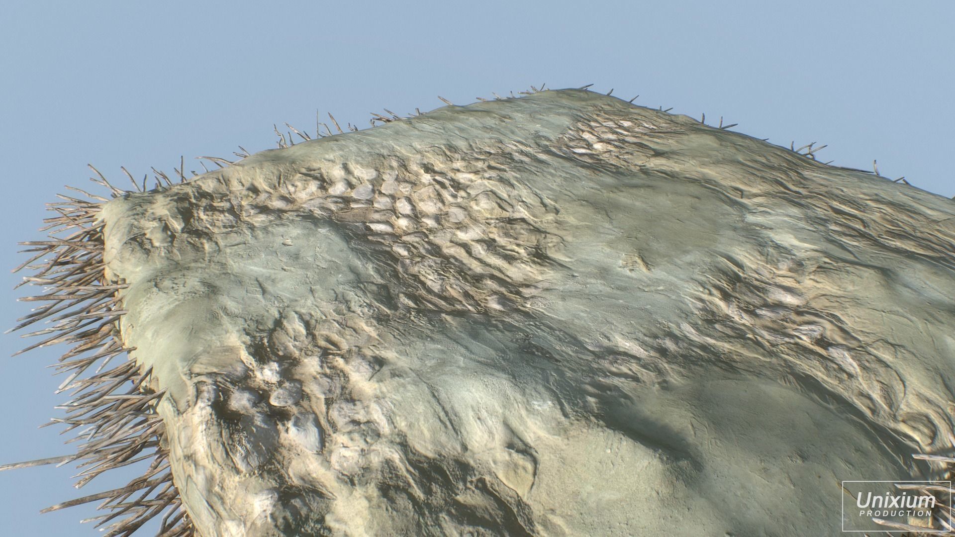 Ancient Greek House Low-poly 3D model_12