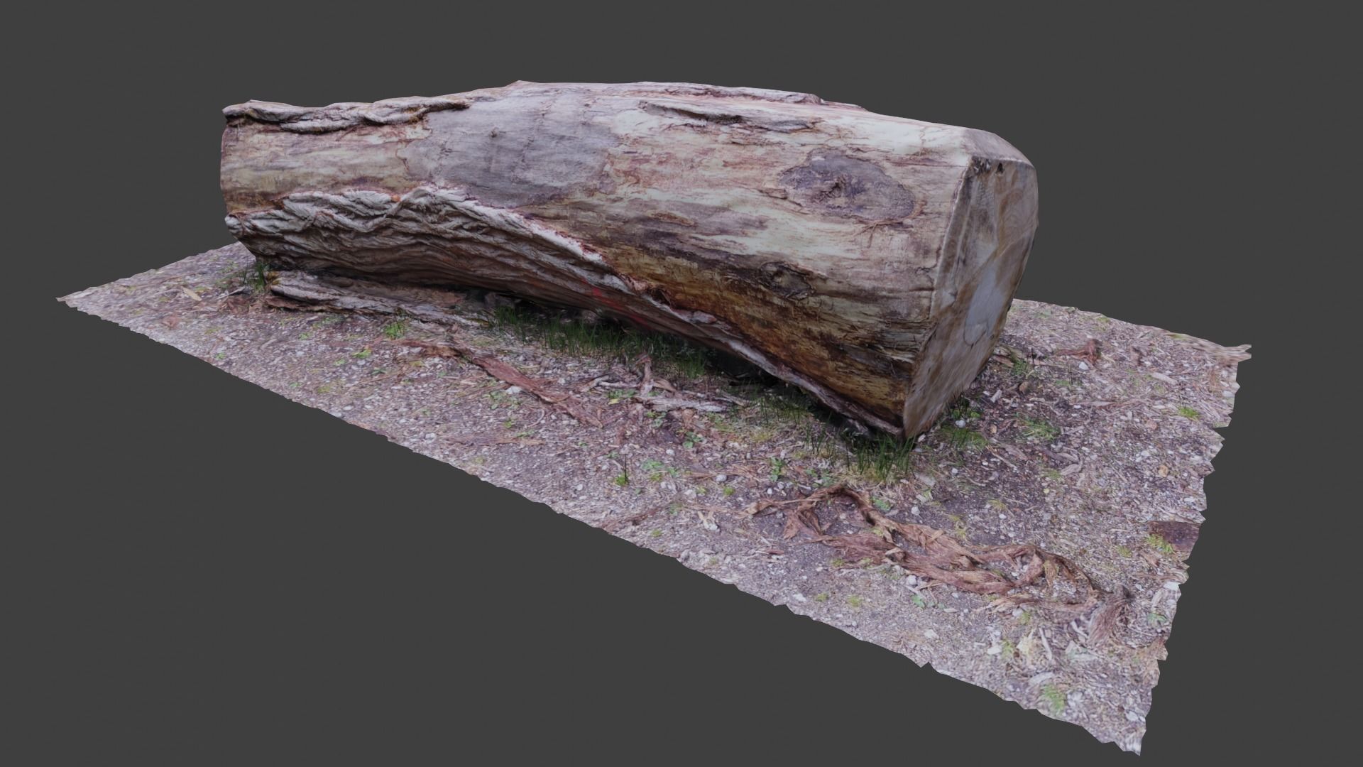 Tree log Low-poly 3D model_6