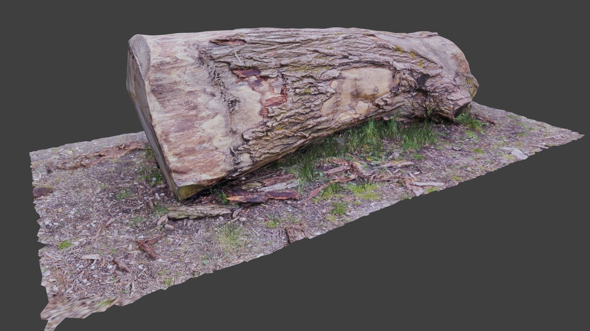 Tree log Low-poly 3D model_1