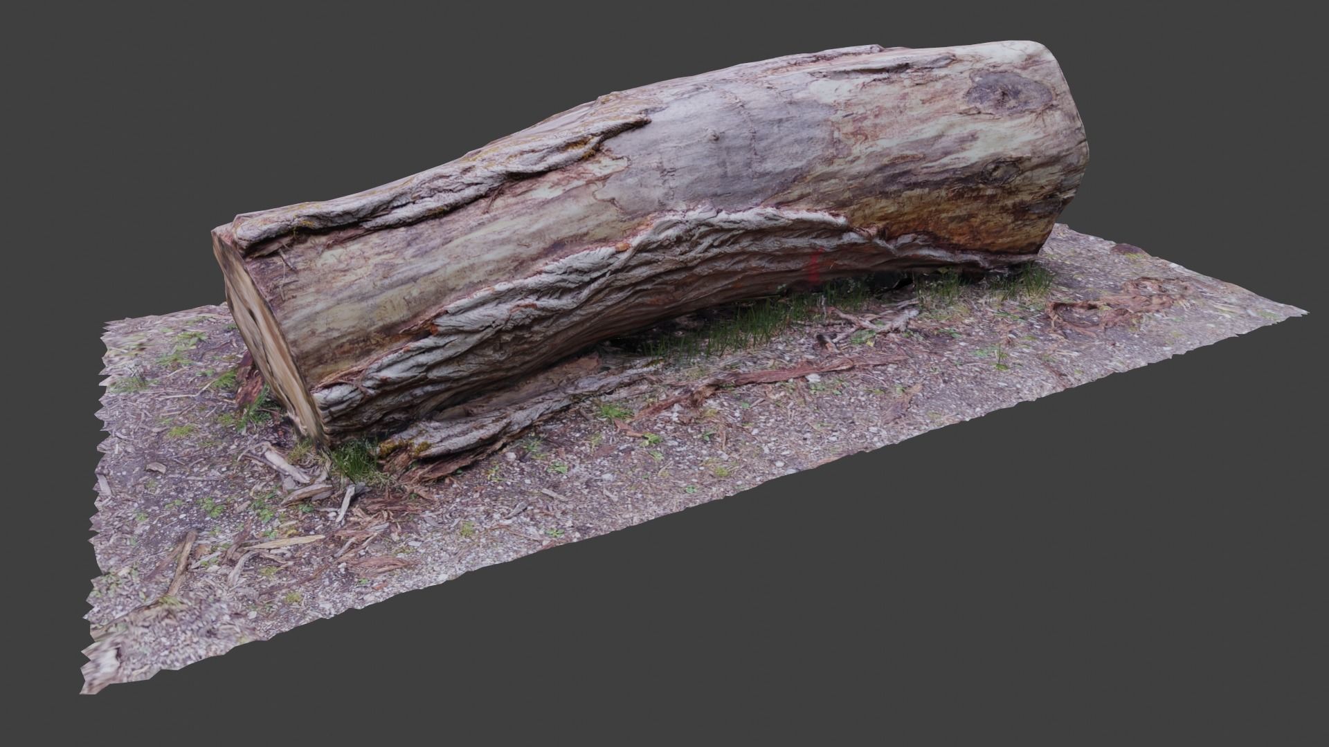Tree log Low-poly 3D model_5