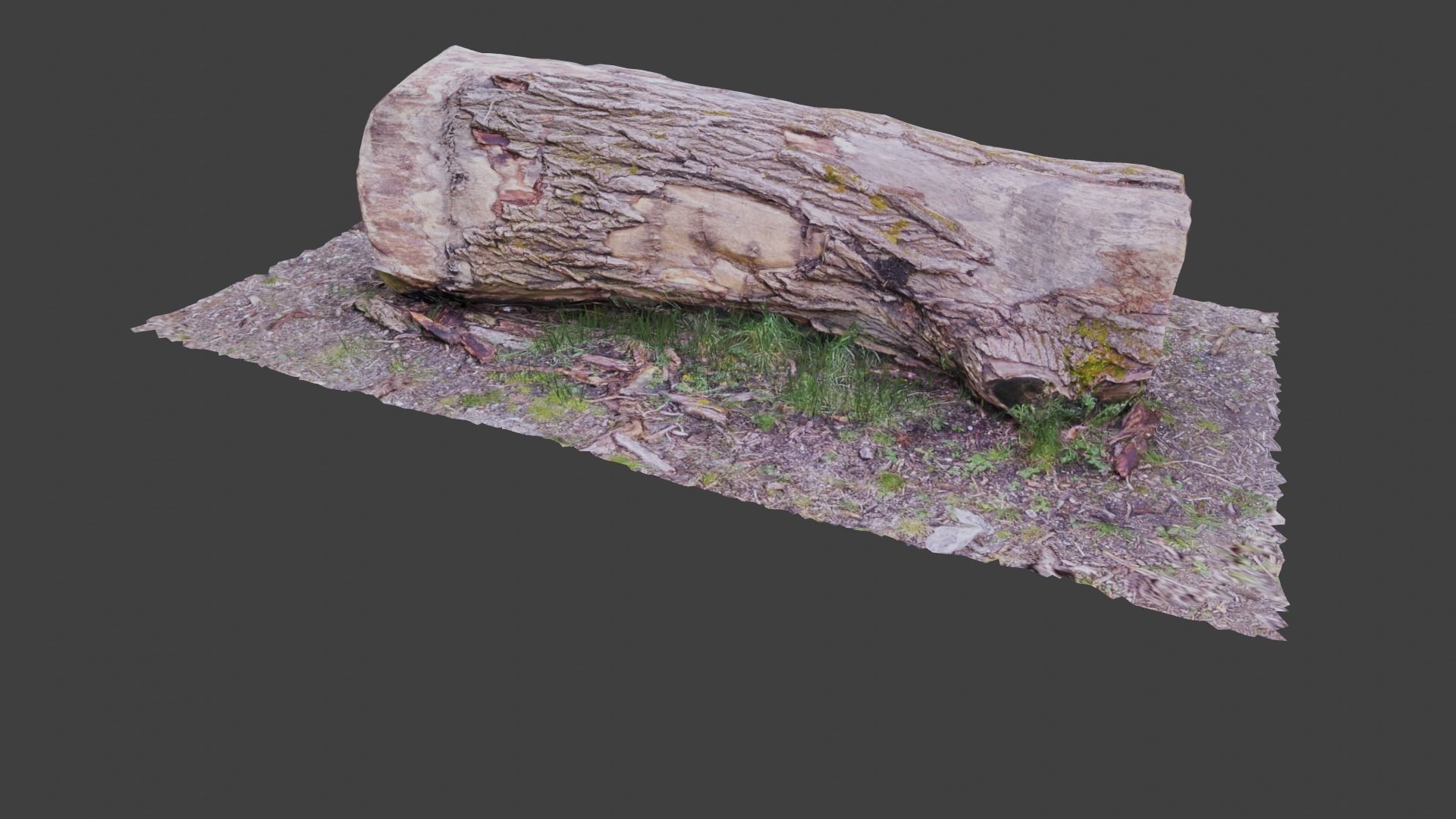 Tree log Low-poly 3D model_4
