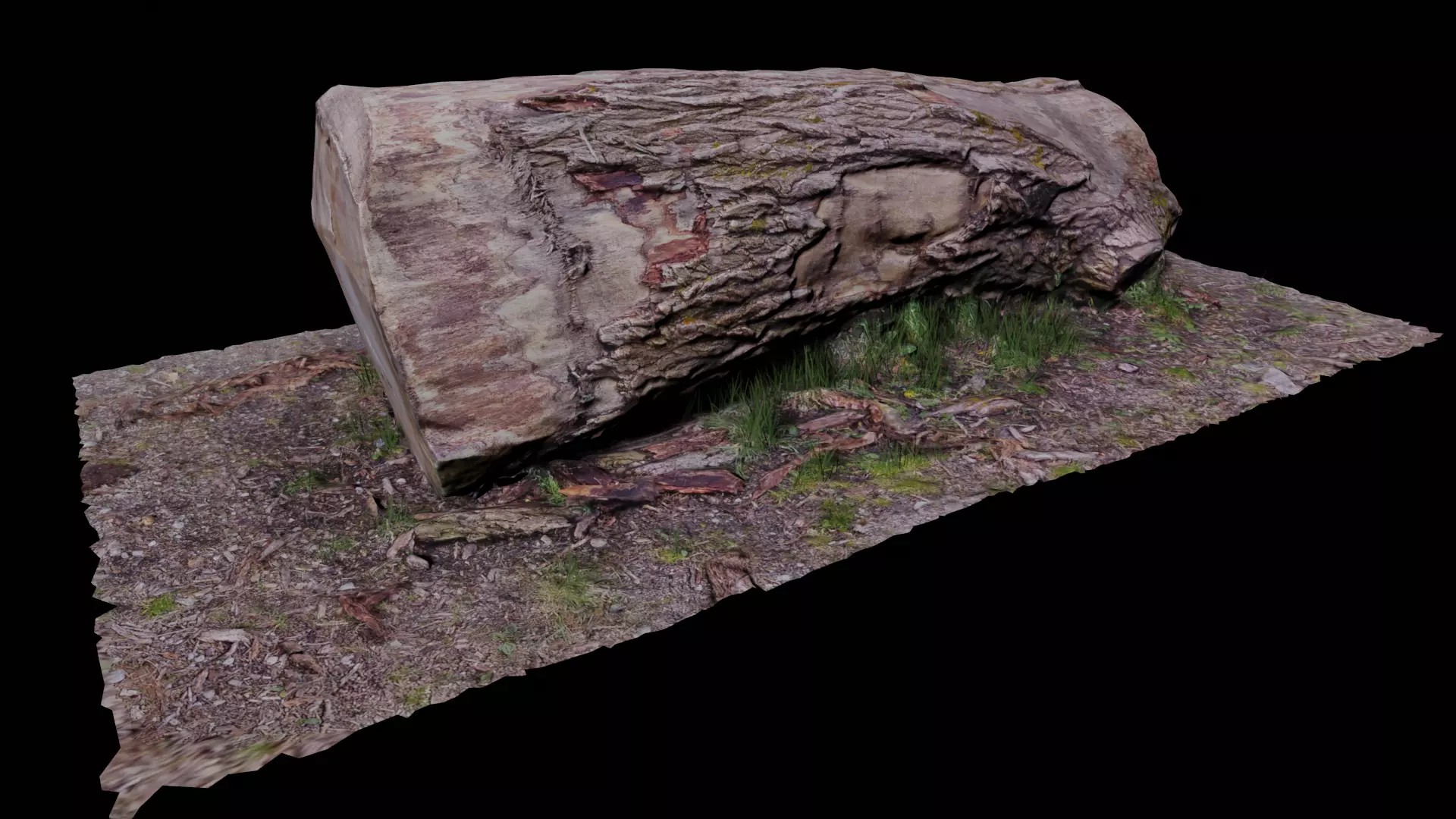 Tree log Low-poly 3D model_0