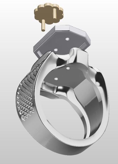 ring print model diesel 3D print model_4