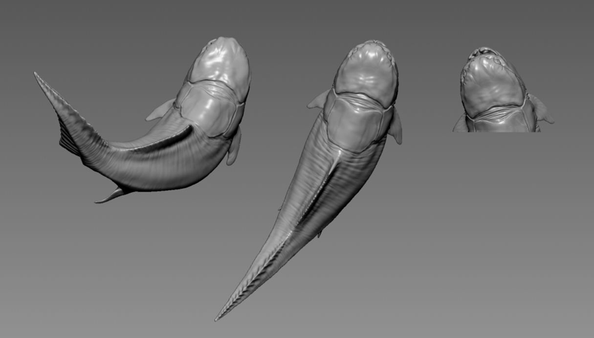 Dunkleosteus  - 3D Printable Prehistoric Creature - 3 Poses 3D print model_4